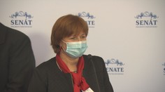 Hlavní hygienička stoná druhý týden. Pořád se neví, kde Covid-19 chytila
