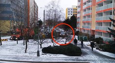 Na sídlišti pravidla neplatí? Řidiči spěchají přes chodník, chodci šílí
