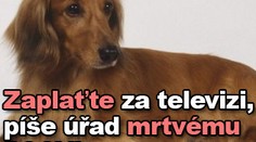 Zaplaťte za televizi, píše úřad mrtvému PSOVI
