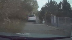 VIDEA k smíchu, k pláči i vzteku. Tohle jsou nejšílenější řidiči roku