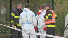 Veterináři likvidují ohnisko ptačí chřipky. Utratit musí tisíce hus a kachen