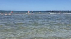Lidé utíkali z pláže. Moře plné slizu zkazilo Čechům dovolenou v Rimini