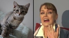 Žena oslepla po olíznutí od své kočky! Lékaři si lámali hlavu proč