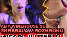 Amy Winehouse se drbe v rozkroku a ukazuje prsa