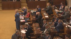 Řadový poslanec dostává přes 100 tisíc. Jiní politici ještě více. PŘEHLED