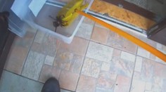 Záběry jen pro otrlé. Obyvatele Karviné vyděsil obří pavouk u dveří