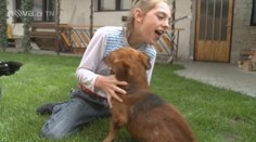 Zmrzačil ho myslivec! Sabinka o postřeleného psa přijde, bere si ho jiná rodina