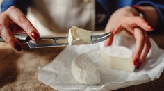Lidé se bojí, že z obchodů zmizí plísňové sýry. Odborníci vysvětlují, jak to s nimi je