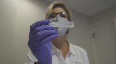 Léková agentura: AstraZeneca má víc přínosů než rizik. Krevní sraženiny ale potvrdila