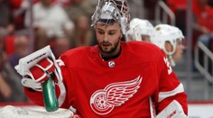 Mrázek musel nahradit Howarda, ale ani on Detroit nezachránil