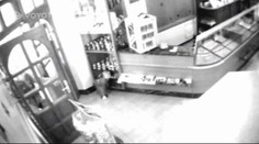 Maskovaní LUPIČI s PISTOLÍ vyloupili ZLATNICTVÍ!