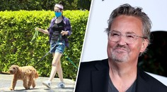 Boj o psa Matthewa Perryho. Hvězda Přátel ho nakonec neadoptuje