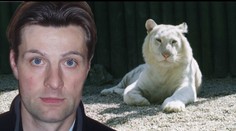 Mluvčí zoo Langr on-line: tygřice napíná celou republiku
