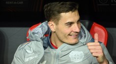 Mezi českými sportovci loni nejvíc vydělal Schick, Satoranský si pohoršil