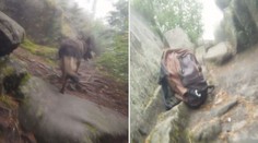 Trable s partnerem řešila útěkem. Ženu v Prachovských skalách našel policejní pes