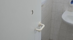 Záchodoví zloději řádí na pardubickém hřbitově. Škoda už přesahuje desítky tisíc