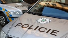 Muž nahlásil, že jeho partnerka upadla na nůž. Podle policie ji pobodal