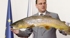 Nečasovi kapr nevoní, poslanec Vidím má raději krevety