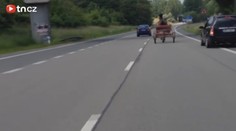 Kůň se řítil v plném provozu po silnici. Naháněla ho policie, auta se vyhýbala na poslední chvíli