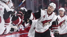 Po 10 letech mění angažmá. Český útočník bude hrát o Stanley Cup!
