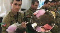 Australští vojáci ve volném čase pečují o koaly