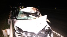Auto zabilo na rychlostní silnici u Kladna koně, posádka zraněna