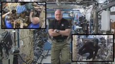 Kelly se vrací: Škodolibými vtípky z vesmírné stanice baví svět!