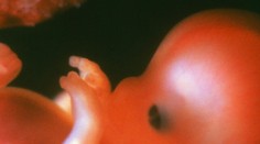 Plody a potraty: Rodiče dostanou šanci pohřbít nenarozené děti