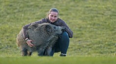 V české stanici mají kuriozitu. Místo psa ji hlídá divoké zvíře