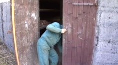 Zloděj ukradl sazenice stromů. Vyrostl by z nich les