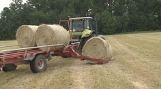 Zemědělci volají po přerozdělení dotací. Budou podávat ústavní stížnost