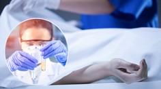 V Číně odhalili nový virus! Hrozí další pandemie, varují vědci a připravují se