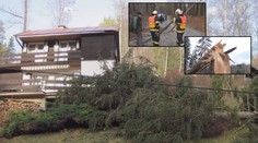 Vichřice v Česku: Vyvracela stromy, strhávala střechy! VIDEO