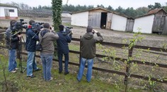 Masakr na maďarské farmě. Na místě tři mrtví