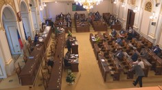 Poslanci dali zelenou superdávce. Samoživitelé přijdou o tisíce, varují Piráti