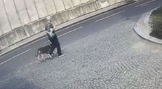 Útok psa na dítě na Petříně u soudu. Muž má dostat 10 měsíců natvrdo