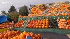 Američan vyzdobil na Halloween dům jen dýněmi