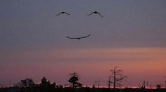 FOTO: Smajlík na nebi je hitem internetu. Jinde je kříž