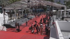 V Cannes startuje filmový festival. O hlavní cenu se letos uchází 21 snímků