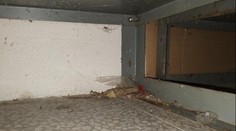 Inspekce zavřela sklad Hrušky ve Znojmě. Našla tam trus i mrtvého hlodavce