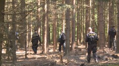 Tři děti v ohrožení za jediný den! Kromě dvou bratrů zmizel i Filípek