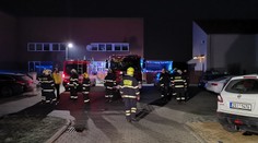 Mladou dívku (6) uštknul na zahradě jedovatý had. Hasiči ho stále nenašli