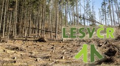 Šéfem Lesů ČR bude Vojáček. Ve funkci byl už za předchozí Babišovy vlády