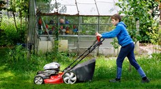 Trávník roste i v listopadu. Zahrádkáři řeší, jestli ho ještě sekat, či nechat růst