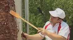 Světový rekord! Největší kebab váží tunu