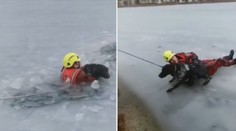 Záchrana psa v praxi: Hasič se pro něj vrhnul do ledové vody. VIDEO