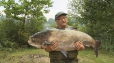 Rybář na Pardubicku ulovil za ocas obřího tolstolobika (40 kg)!