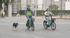V Bruselu nesměla jezdit auta. Obyvatelé vyrazili do ulic na kole nebo MHD