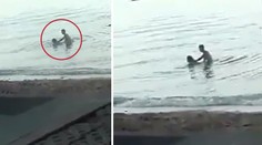 Milenci si to rozdali v moři u pláže! Kolem chodili turisté. VIDEO
