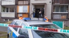 DRAMA V BOLESLAVI! Muž pobodal svou rodinu, zapálil byt, vyskočil z okna a zemřel